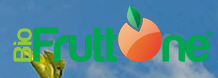 FRUTTONE srl