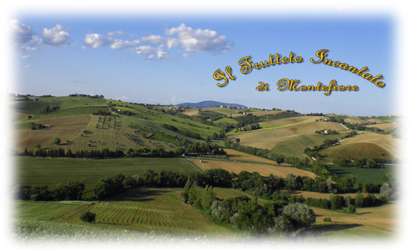 Azienda Agraria Laureti Domenico