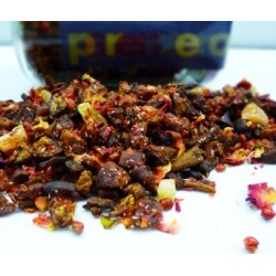 the infusi