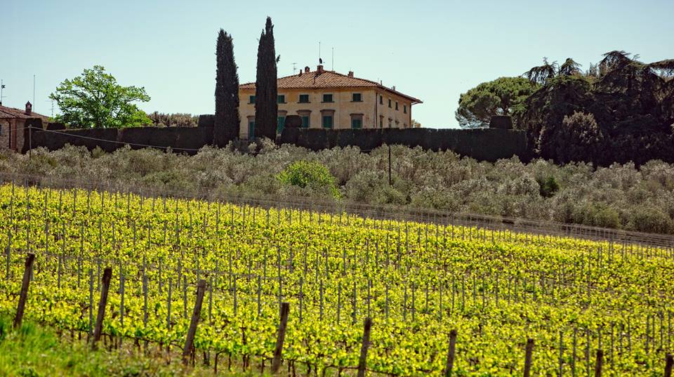 Fattoria di Montecchio