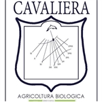 Cavaliera